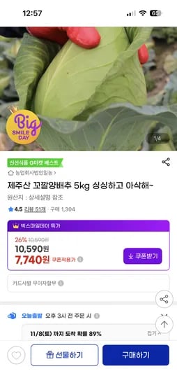 제주산 꼬깔양배추 5kg
