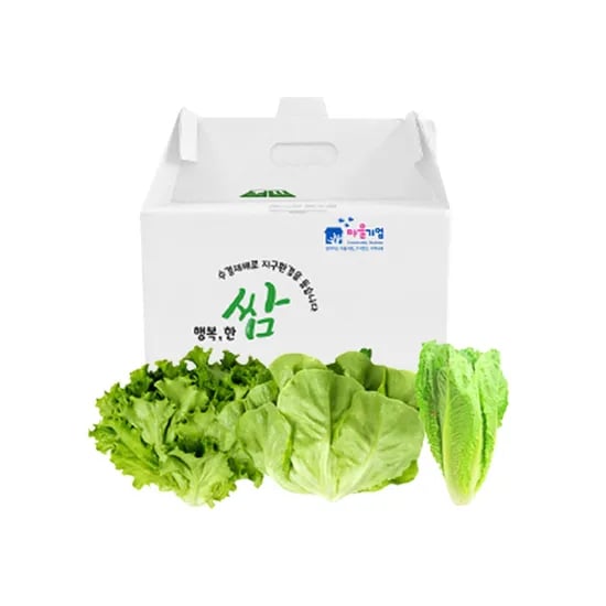 친환경 로메인 1kg