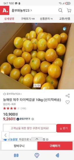 제주 타이벡감귤 9kg
