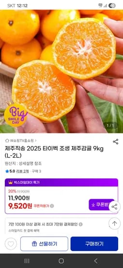 타이벡 제주감귤 9kg L-2L