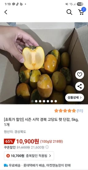 햇 단감 5kg