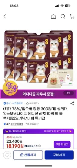 시크릿데이 입는오버나이트 10팩
