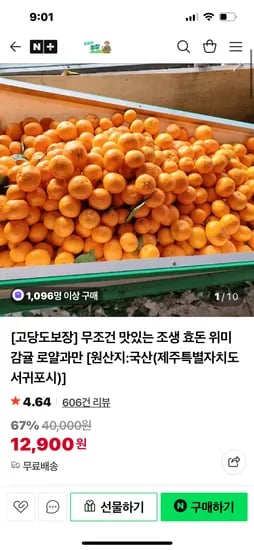 조생 효돈 감귤 5kg