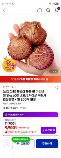 통영산 활가리비 대 3kg 60미내외