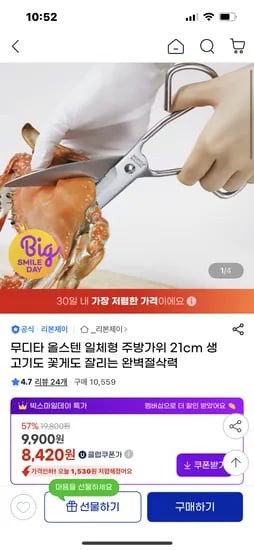 올스텐 일체형 21cm 주방가위