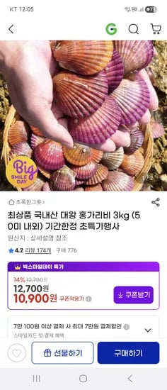 국내산 홍가리비 3kg (큰사이즈, 50미 내외)