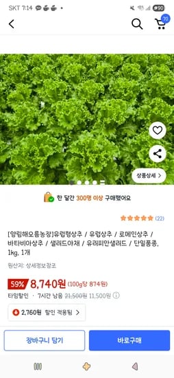 유럽형상추 로메인상추 1kg 1개