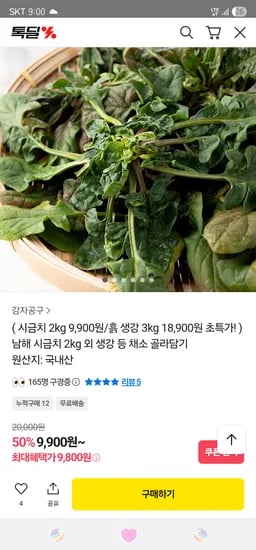 카카오 남해 시금치 2kg