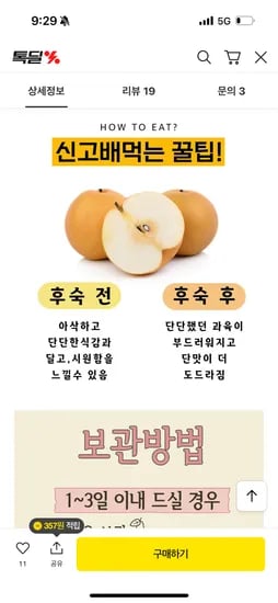 나주 신고배 5kg 8-12과
