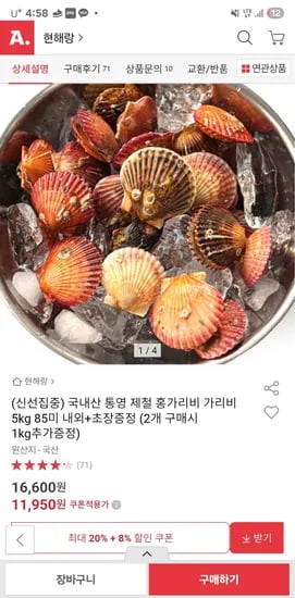 국내산 통영 홍가리비 5kg 85미 내외 초장 증정