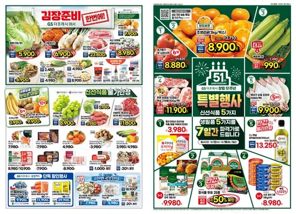 배추 3입