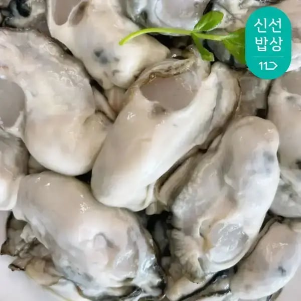 이순신수산 국내산 깐 생굴 2kg