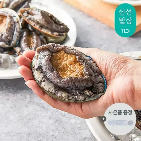 기삼전복 초특대 1kg 8-9미 손질칼