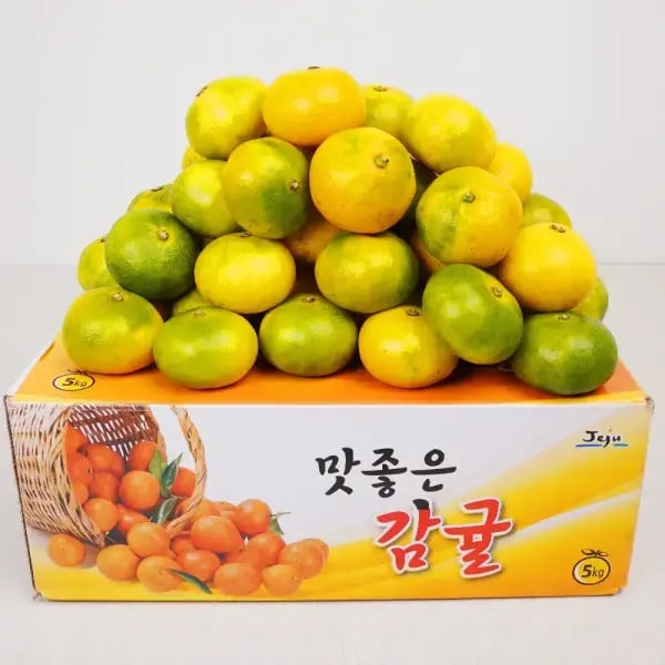 서귀포 당도측정 노지 조생감귤 4.5kg S-M 로얄과