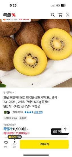 보성 골드키위 2kg (23~25개)