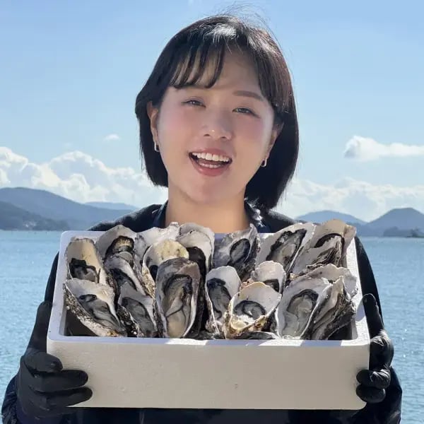 통영 햇 생굴 1kg