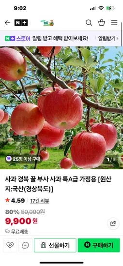 경북 꿀사과 2kg 15과 내외