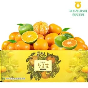 제주감귤 황금알 감귤 5kg 꼬마소과 (2S이하)