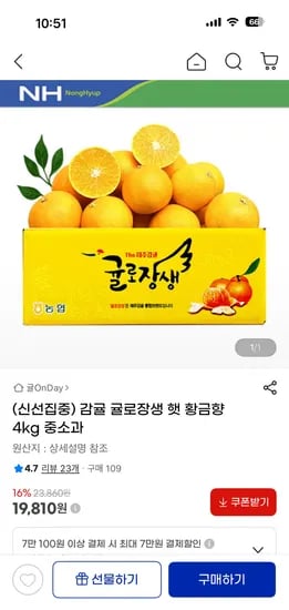 귤로장생 햇 황금향 4kg 중소과 (20과-40과내외)