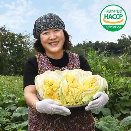 해남 김장 김치 절임배추 20kg