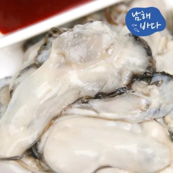 2025년 국내산 남해 생굴 1kg
