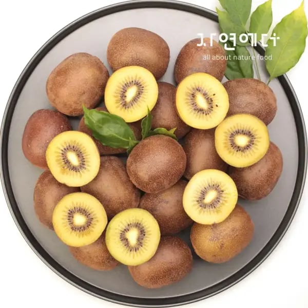 농협 골드키위 2kg 30과내외