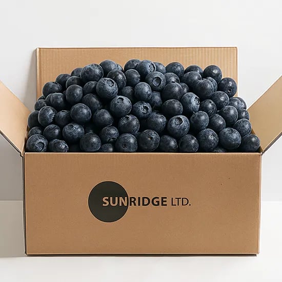 수입산 생 블루베리 125g 3팩