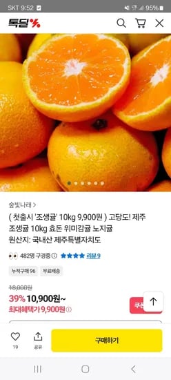 조생귤 10kg