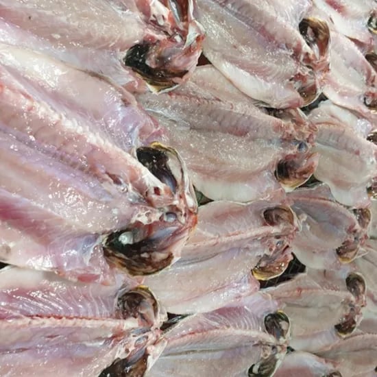 반건조 농어 2미 1kg 내외