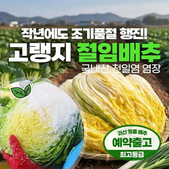 괴산 절임배추 20kg