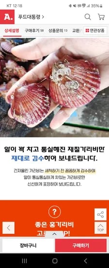 홍가리비 5kg 대사이즈 12개