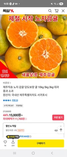 노지감귤 10kg
