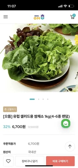 유럽 샐러드 채소 1kg
