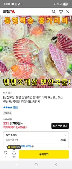 제철 홍가리비 5kg
