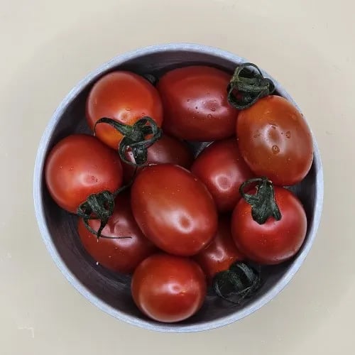 농협 스테비아 방울 토마토 2kg