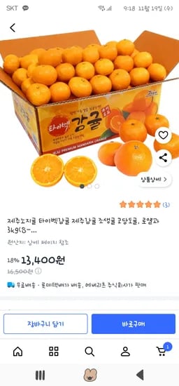 제주 노지 타이벡감귤 로얄과 3kg
