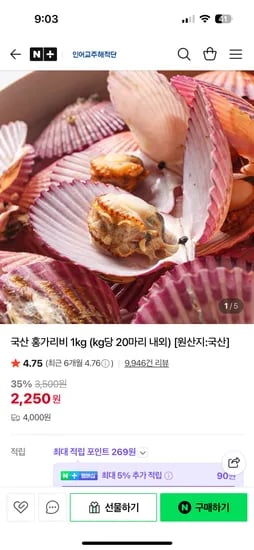 인어교주해적단 홍가리비 1kg 2250