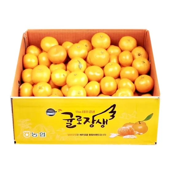 귤로장생 제주 노지 감귤 4.5kg 대과