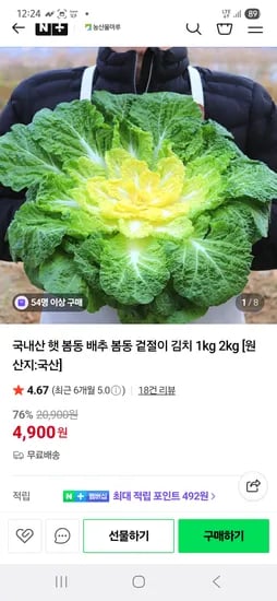 국내산 햇 봄동 1kg