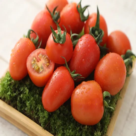아띠네농장 스테비아 대추방울토마토 감동마토 500g 4팩