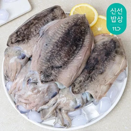 국내산 생물 갑오징어 대사이즈 1kg 2~3미