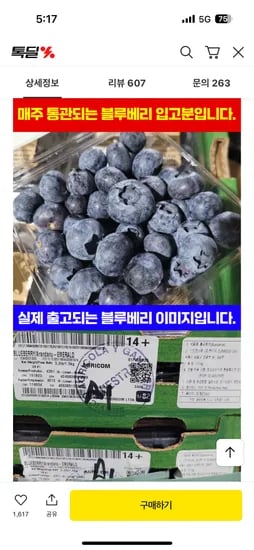 블루베리 125g 5팩