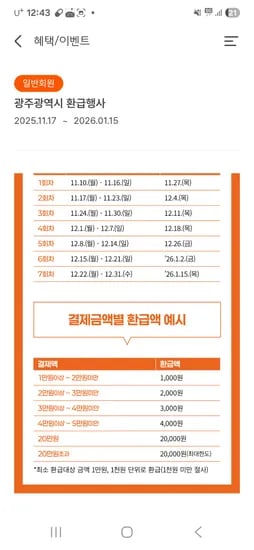 특등급 진품 경기미 20kg