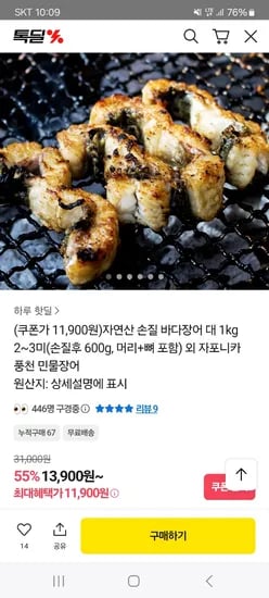 손질 바다장어 대 1kg 2~3미