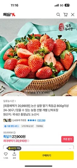 논산 설향 딸기 특등급 800g이상 24~30구