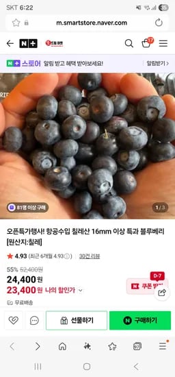 또드림마켓 블루베리 칠레산 특과 16mm 이상
