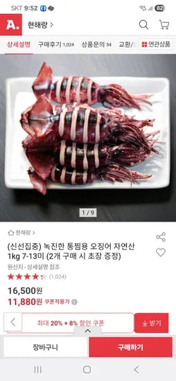 통찜용 오징어 1kg