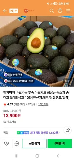 바로먹는 후숙 아보카도 8과