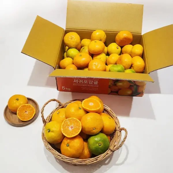 제주 노지감귤 2kg 대과