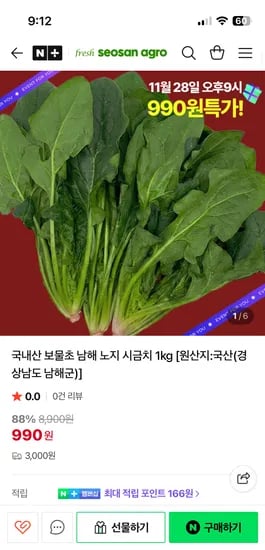 남해 보물초 시금치 1kg